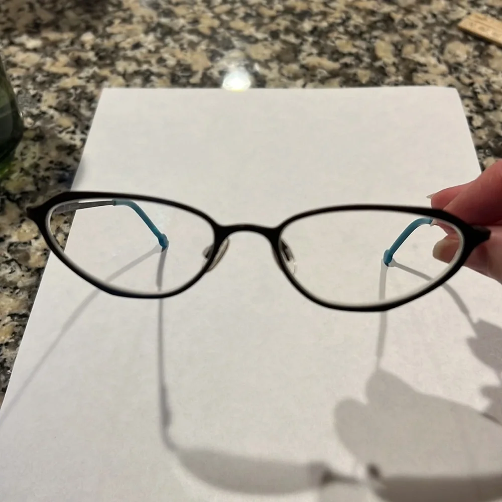 l.a. Eyeworks eyeglass Titanium Astor 863 frames